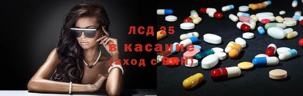 амф Вязьма