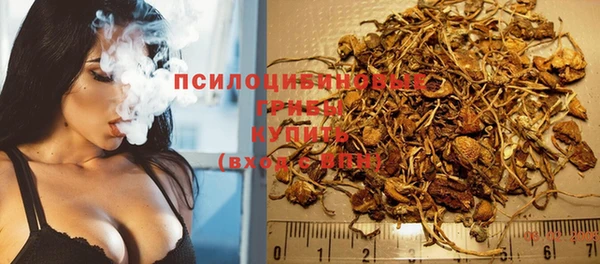 ГАЛЛЮЦИНОГЕННЫЕ ГРИБЫ Вязники