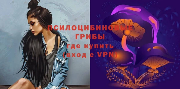 спайс Вяземский