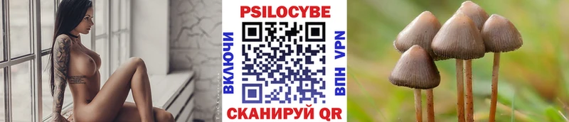 Галлюциногенные грибы прущие грибы  Купить закладки  Ядрин 